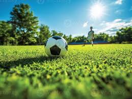 数据分析师使用实时比分球探进行专业分析