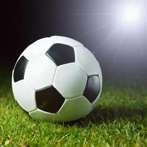 资深球迷使用实时比分球探观看比赛